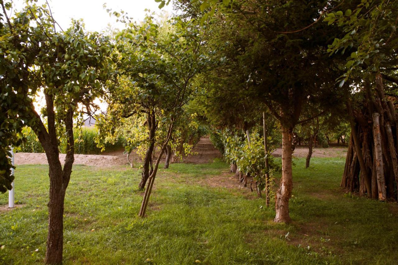 Domaine Des 4Roses -Spa Et Serenite Villa Furdenheim Ngoại thất bức ảnh