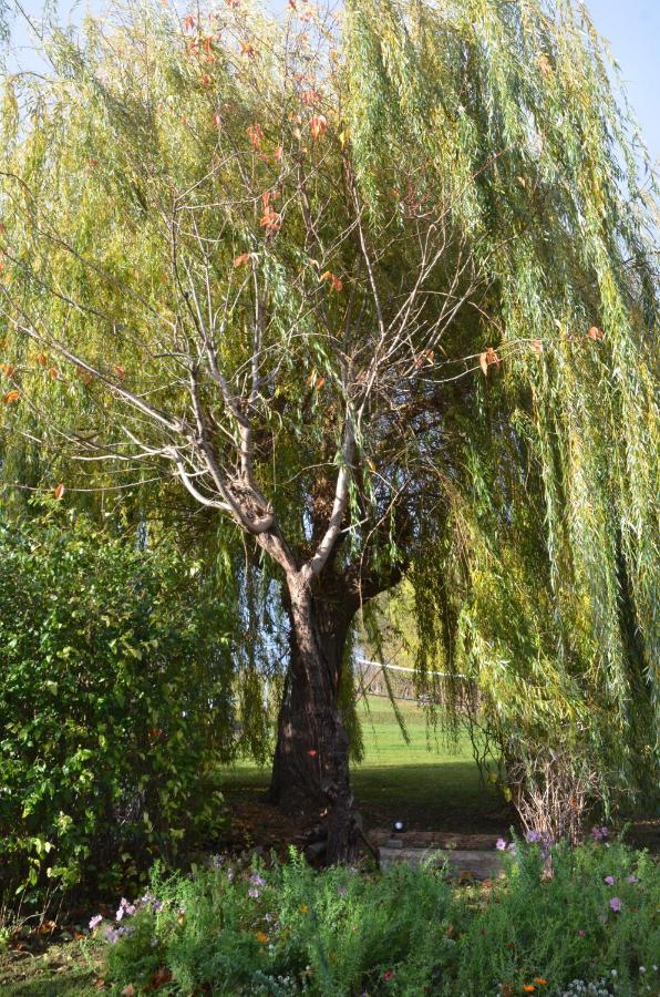 Domaine Des 4Roses -Spa Et Serenite Villa Furdenheim Ngoại thất bức ảnh