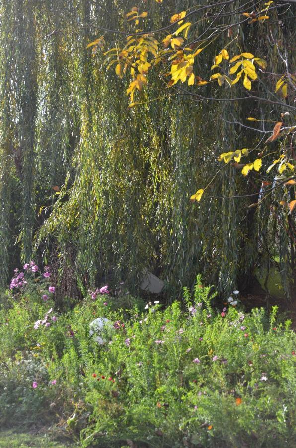 Domaine Des 4Roses -Spa Et Serenite Villa Furdenheim Ngoại thất bức ảnh